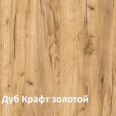 Крафт Полка для обуви 15.63 в Невьянске - nevyansk.mebel24.online | фото 3