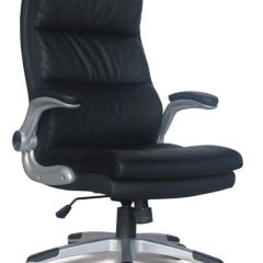 Кресло офисное BRABIX "Fregat EX-510" (рециклированная кожа, черное) 530863 в Невьянске - nevyansk.mebel24.online | фото 1