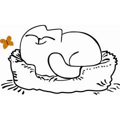 Кровать двухуровневая Кот № 900.1 ПРАВАЯ (туя светлая/белый) в Невьянске - nevyansk.mebel24.online | фото 2