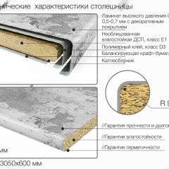 Кухонный фартук со столешницей (А-01) в едином стиле (3050 мм) в Невьянске - nevyansk.mebel24.online | фото 6