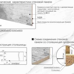 Кухонный фартук со столешницей (А-010) в едином стиле (3050 мм) в Невьянске - nevyansk.mebel24.online | фото 6
