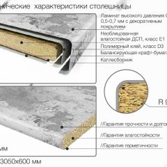 Кухонный фартук со столешницей (А-013) в едином стиле (3050 мм) в Невьянске - nevyansk.mebel24.online | фото 6