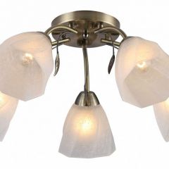 Потолочная люстра Rivoli Olivia Б0052693 в Невьянске - nevyansk.mebel24.online | фото
