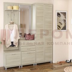 Прихожая Мелисса композиция 11 (Ясень Асахи) в Невьянске - nevyansk.mebel24.online | фото