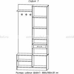 Прихожая София 1 в Невьянске - nevyansk.mebel24.online | фото 3