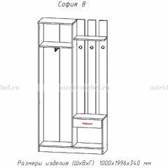 Прихожая София 8 в Невьянске - nevyansk.mebel24.online | фото 2