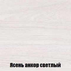 Шкаф 2-х створчатый МСП-1 (Ясень Анкор светлый) в Невьянске - nevyansk.mebel24.online | фото 4
