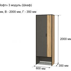 ОЛЬГА-ЛОФТ 3 Шкаф 2-х створчатый в Невьянске - nevyansk.mebel24.online | фото 4