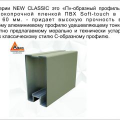 Шкаф-купе 1500 серии NEW CLASSIC K3+K3+B2+PL1 (2 ящика+1 штанга) профиль «Капучино» в Невьянске - nevyansk.mebel24.online | фото 5