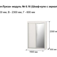 Шкаф-купе 1600 с зеркалом "Мария-Луиза 6.16" в Невьянске - nevyansk.mebel24.online | фото 4