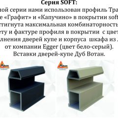 Шкаф-купе 1600 серии SOFT D8+D2+B2+PL4 (2 ящика+F обр.штанга) профиль «Графит» в Невьянске - nevyansk.mebel24.online | фото 12