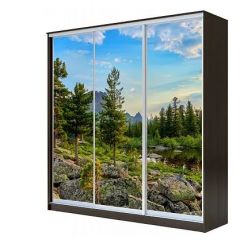 Шкаф-купе ХИТ 23-4-18-777 (420) в Невьянске - nevyansk.mebel24.online | фото 1