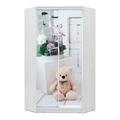 Шкаф-купе ХИТ-У-L-24-64-77 в Невьянске - nevyansk.mebel24.online | фото