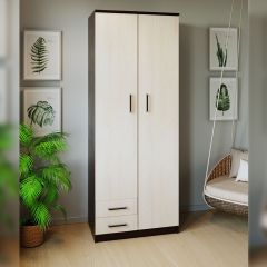 Шкаф распашной ПШ-3.9 в Невьянске - nevyansk.mebel24.online | фото 3