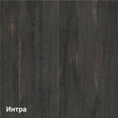 Трувор Шкаф 13.204 в Невьянске - nevyansk.mebel24.online | фото 3