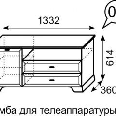 Тумба для телеаппаратуры Венеция 6 бодега в Невьянске - nevyansk.mebel24.online | фото 2