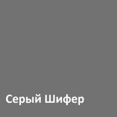 Юнона Шкаф торцевой 13.221 в Невьянске - nevyansk.mebel24.online | фото 2