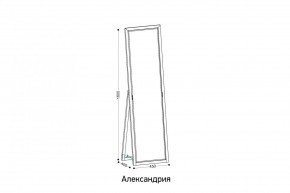 АЛЕКСАНДРИЯ-9.1 Зеркало напольное в Невьянске - nevyansk.mebel24.online | фото 2