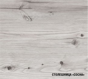 АСАЯ Кухонный гарнитур Экстра 2 (3000 мм) ПМ в Невьянске - nevyansk.mebel24.online | фото 8