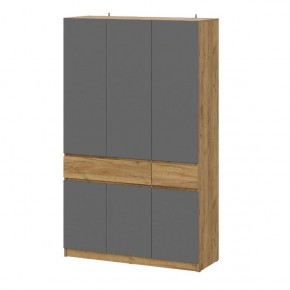 АВИНЬОН Прихожая Шкаф 3-х створчатый с ящиками в Невьянске - nevyansk.mebel24.online | фото