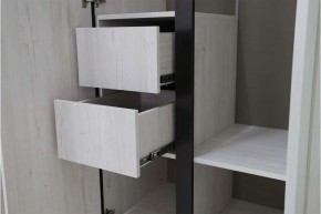 ДЕЛИ 3 Шкаф 3-х створчатый в Невьянске - nevyansk.mebel24.online | фото 7