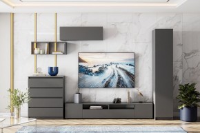 ДЕНВЕР Пенал (Графит серый) в Невьянске - nevyansk.mebel24.online | фото 4