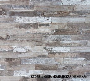 ДЮНА Кухонный гарнитур Экстра 2 (3000 мм) в Невьянске - nevyansk.mebel24.online | фото 7