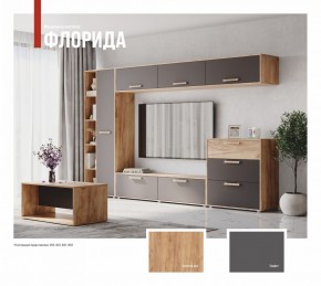 ФЛОРИДА Гостиная (модульная) дуб золотой/графит в Невьянске - nevyansk.mebel24.online | фото 1