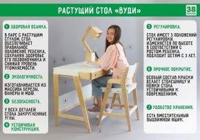 Комплект растущий стол и стул с чехлом 38 попугаев «Вуди» (Серый, Береза, Салют) в Невьянске - nevyansk.mebel24.online | фото