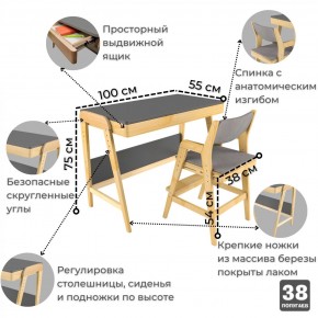 Комплект растущий стол и стул с чехлом 38 попугаев «Вуди» (Серый, Береза, Серый) в Невьянске - nevyansk.mebel24.online | фото