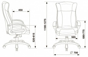 Кресло для руководителя Бюрократ CH-879N в Невьянске - nevyansk.mebel24.online | фото