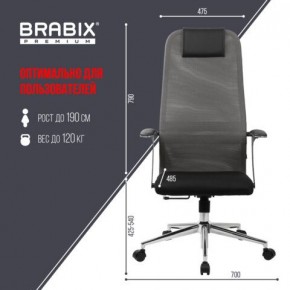 Кресло офисное BRABIX PREMIUM "Ultimate EX-801" хром, плотная двойная сетка Х2, черное/серое, 532918 в Невьянске - nevyansk.mebel24.online | фото 5