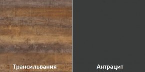 Кухонный гарнитур угловой Трансильвания 2400x1600 мм (Стол. 38 мм) в Невьянске - nevyansk.mebel24.online | фото 3