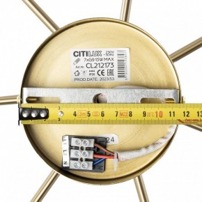 Люстра на штанге Citilux Tonga CL212173 в Невьянске - nevyansk.mebel24.online | фото 9
