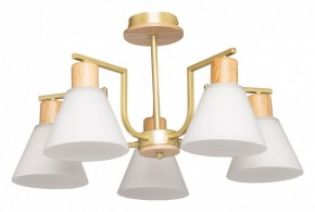 Люстра на штанге De City Дэла 45 635016505 в Невьянске - nevyansk.mebel24.online | фото