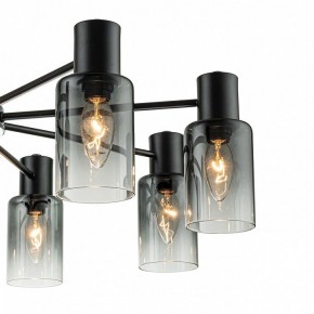 Люстра на штанге Escada Diversity 2120/8P Black в Невьянске - nevyansk.mebel24.online | фото 5