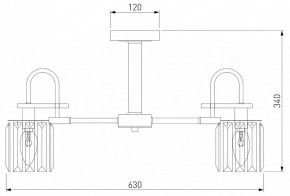 Люстра на штанге Eurosvet Tenia 70090/5 графит в Невьянске - nevyansk.mebel24.online | фото 4