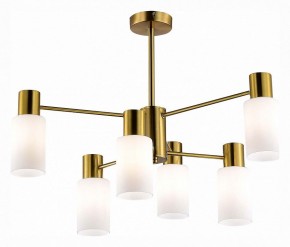 Люстра на штанге EVOLUCE Gessi SLE1139-302-06 в Невьянске - nevyansk.mebel24.online | фото 2