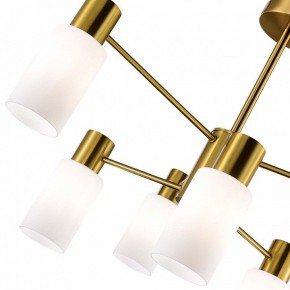 Люстра на штанге EVOLUCE Gessi SLE1139-302-06 в Невьянске - nevyansk.mebel24.online | фото 3
