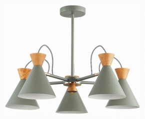 Люстра на штанге EVOLUCE Modica SLE125112-05 в Невьянске - nevyansk.mebel24.online | фото 1