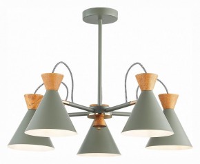 Люстра на штанге EVOLUCE Modica SLE125112-05 в Невьянске - nevyansk.mebel24.online | фото 2