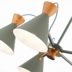 Люстра на штанге EVOLUCE Modica SLE125112-05 в Невьянске - nevyansk.mebel24.online | фото 3