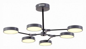 Люстра на штанге EVOLUCE Monta SLE6003-702-06 в Невьянске - nevyansk.mebel24.online | фото 2