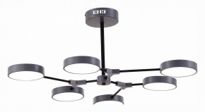 Люстра на штанге EVOLUCE Monta SLE6003-702-06 в Невьянске - nevyansk.mebel24.online | фото 3