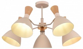 Люстра на штанге EVOLUCE VISTA SLE1256-502-05 в Невьянске - nevyansk.mebel24.online | фото 6