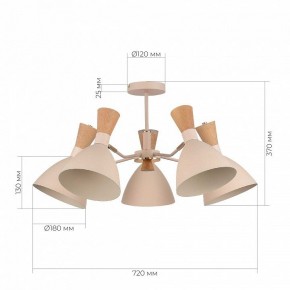 Люстра на штанге EVOLUCE VISTA SLE1256-502-05 в Невьянске - nevyansk.mebel24.online | фото 8