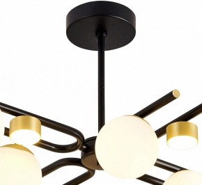 Люстра на штанге Favourite Soffiato 3048-8P в Невьянске - nevyansk.mebel24.online | фото 4