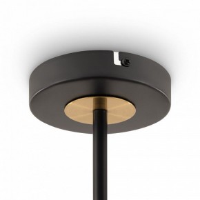 Люстра на штанге Freya Hats FR5370CL-04B в Невьянске - nevyansk.mebel24.online | фото 6