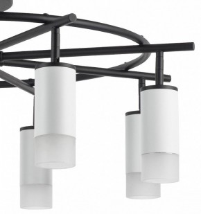 Люстра на штанге Lightstar Rullo LR7183681 в Невьянске - nevyansk.mebel24.online | фото 4