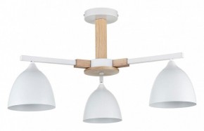 Люстра на штанге Lumion Colange 8095/3C в Невьянске - nevyansk.mebel24.online | фото